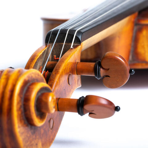 Photography DY100 strings on violin preview