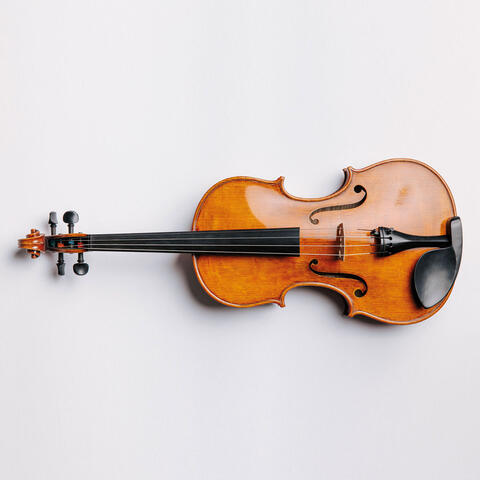Photography DY200 strings on viola preview
